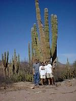 The Boys and the Cacti