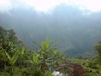 The lush mountains of Colombia